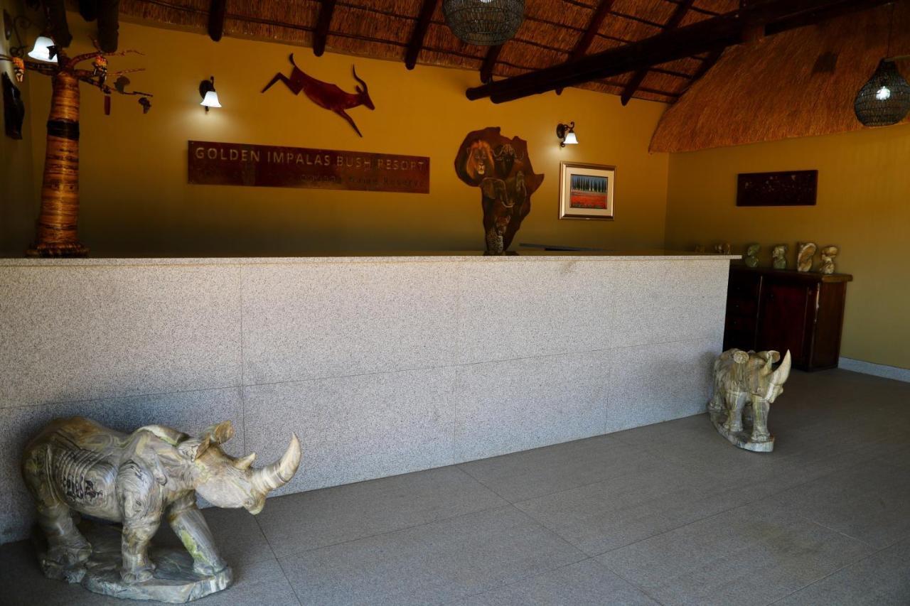 Golden Impalas Bush Resort ฮามมันสคราล ภายนอก รูปภาพ
