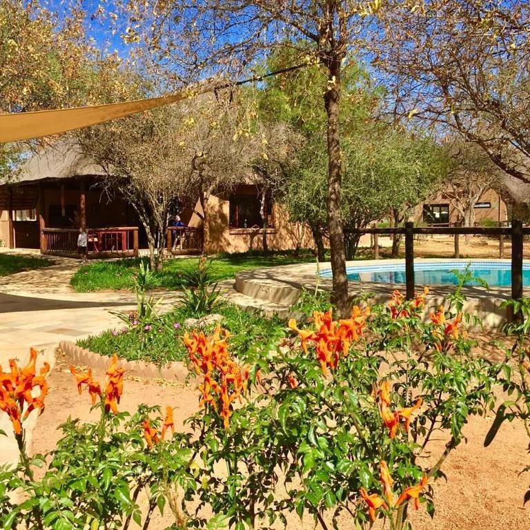 Golden Impalas Bush Resort ฮามมันสคราล ภายนอก รูปภาพ